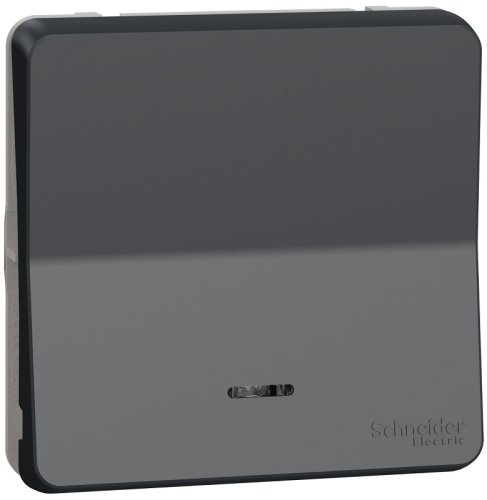 Выключатель самовозвратный с подсветкой без рамки Schneider Electric Mureva Styl 1-кл. IP55 антрацит картинка